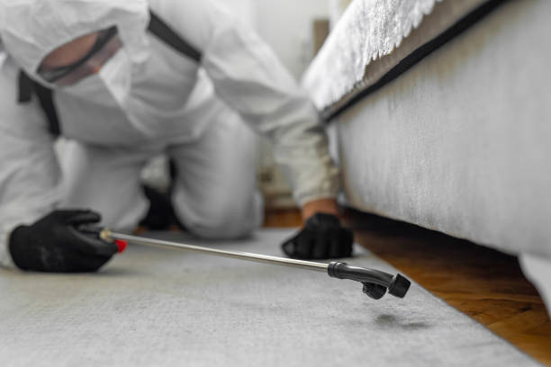 Professional Mosquito Control technician working in Biola, CA