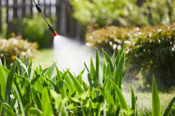 24/7 Emergency Mosquito Control experts in Biola, CA
