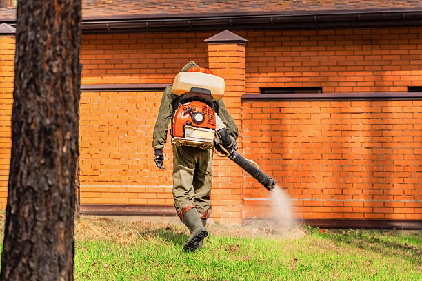 Trusted Wildlife Pest Control service in Biola, CA - Nex Pest Control